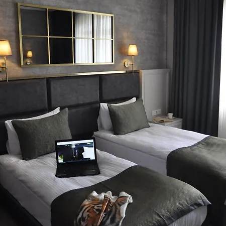 Connect Thermal 5* Ankara