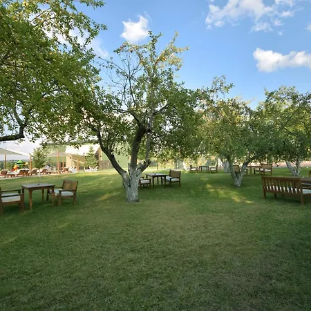 Connect Thermal Hotel Ankara