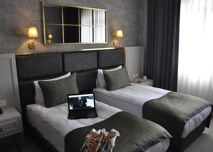 Connect Thermal 5* Ankara